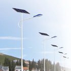 LED Solar Street Light 3000lm, IP65 Waterproof, High Brightness for Outdoor Lighting